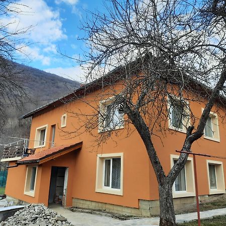Guest House Lazar Raykov Ribaritsa Exterior foto