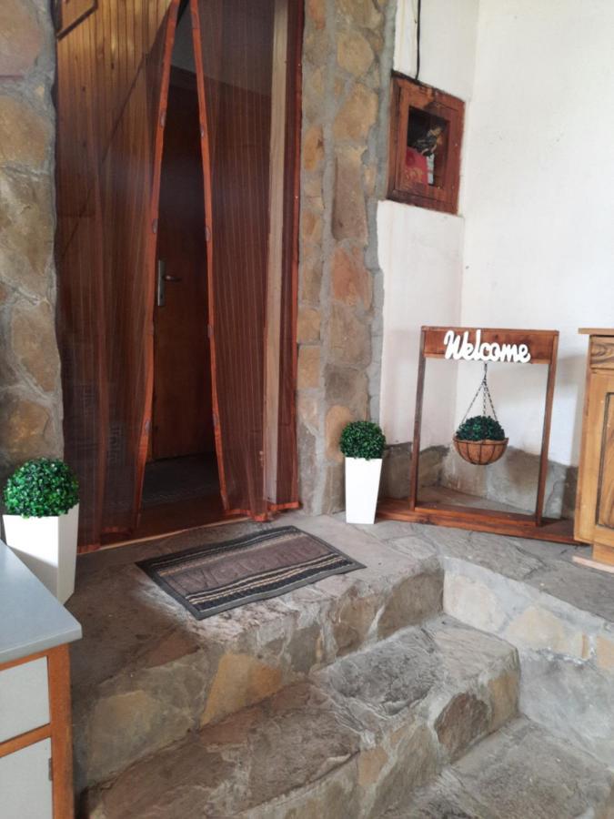 Guest House Lazar Raykov Ribaritsa Exterior foto