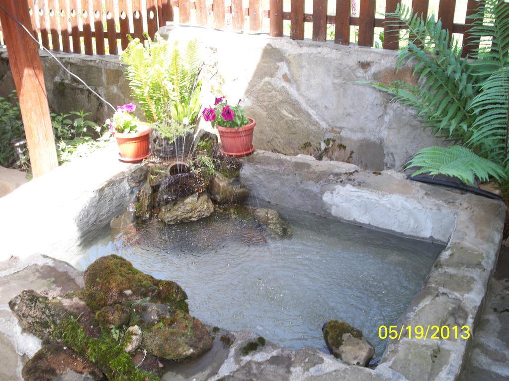 Guest House Lazar Raykov Ribaritsa Exterior foto
